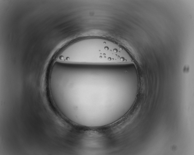 X0000103400392200809120929