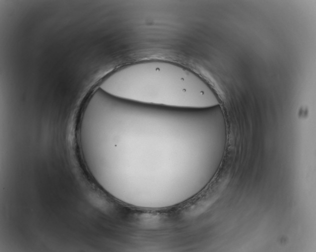 X0000103400394200809120929