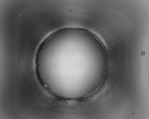 X0000103400395200809120929