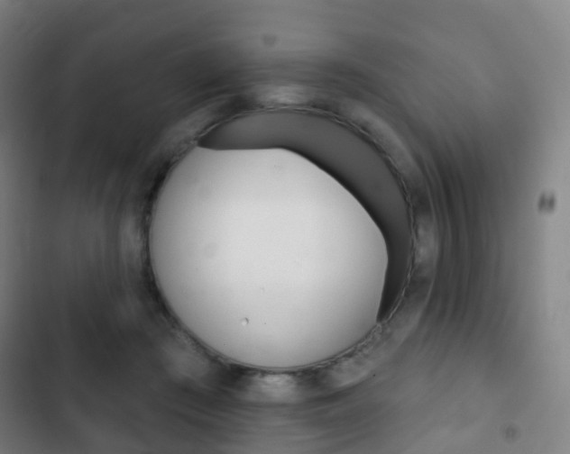 X0000103400409200809120929