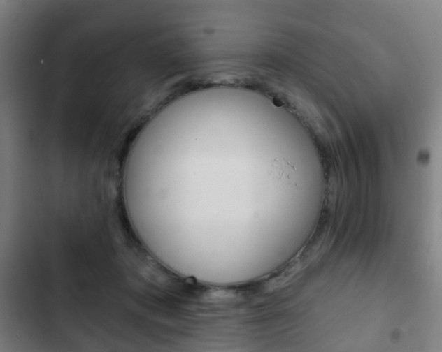 X0000103400413200809120928