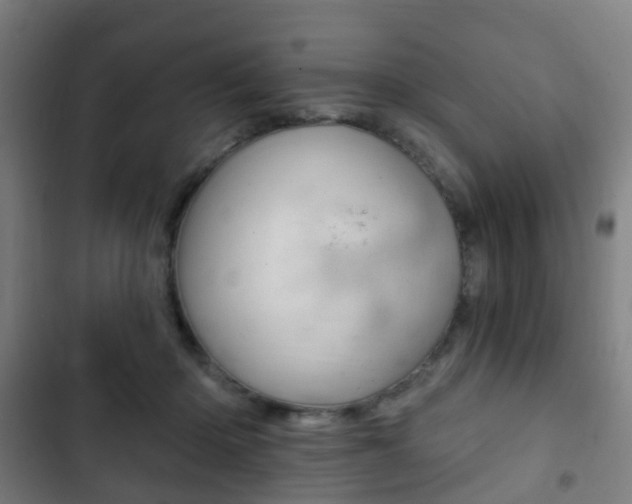 X0000103400414200809120928