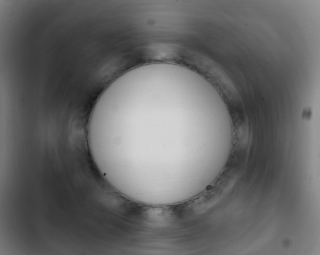 X0000103400415200809120928