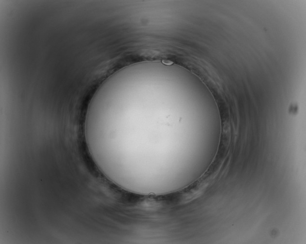 X0000103400416200809120928
