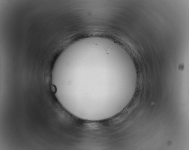 X0000103400417200809120928