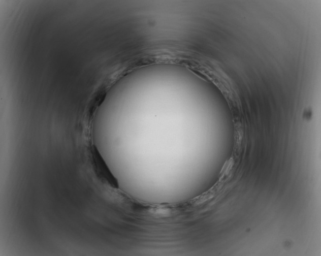 X0000103400419200809120928