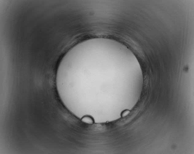 X0000103400421200809120928