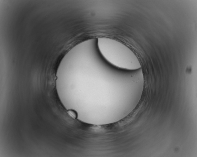 X0000103400425200809120928