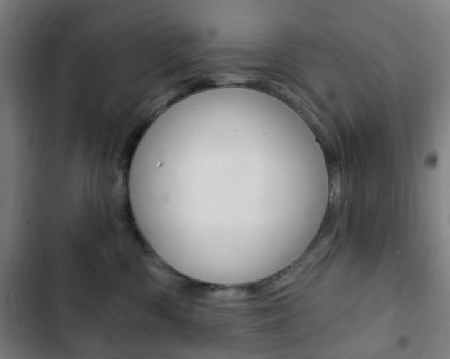 X0000103400426200809120928