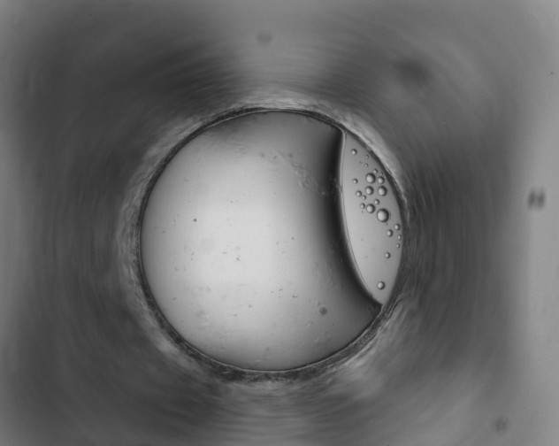 X0000103400433200809120927