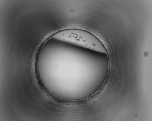 X0000103400434200809120927