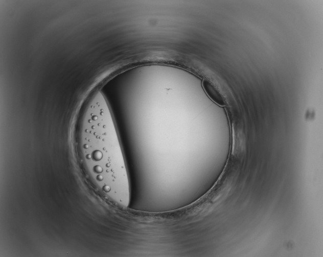 X0000103400435200809120927