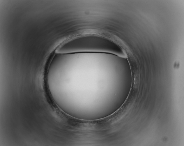X0000103400436200809120927