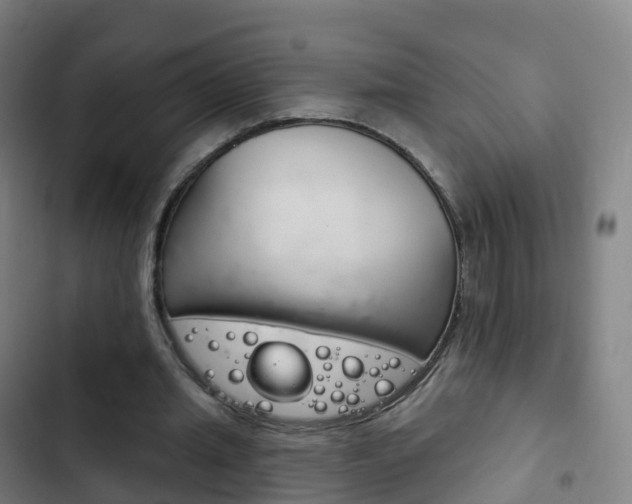 X0000103400437200809120928