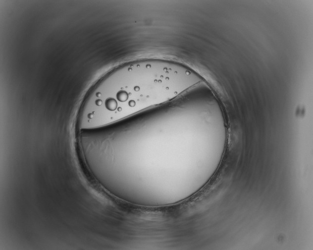 X0000103400438200809120928