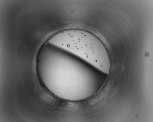 X0000103400442200809120928