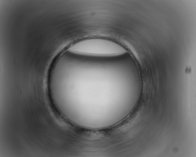 X0000103400443200809120928
