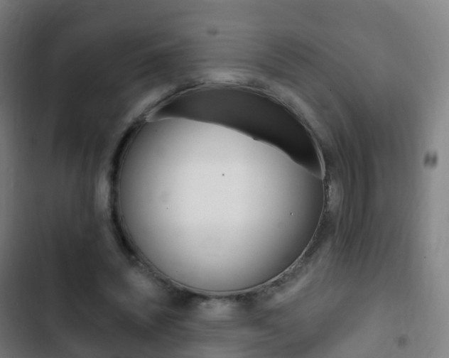 X0000103400444200809120928