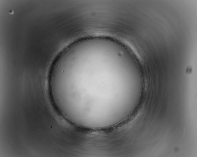 X0000103400447200809120928