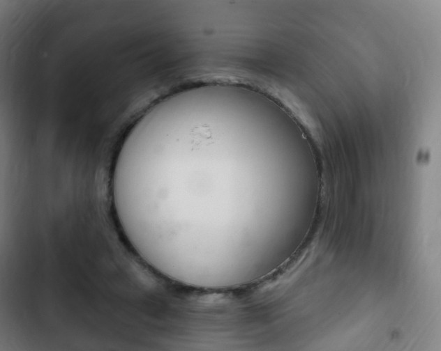 X0000103400449200809120928