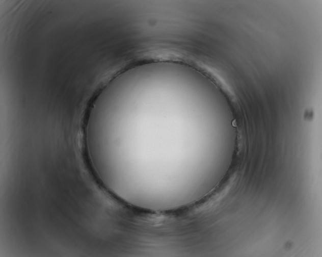 X0000103400453200809120928