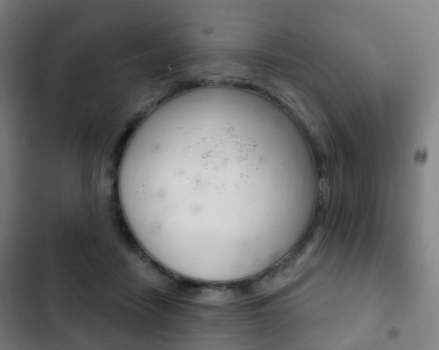 X0000103400458200809120928