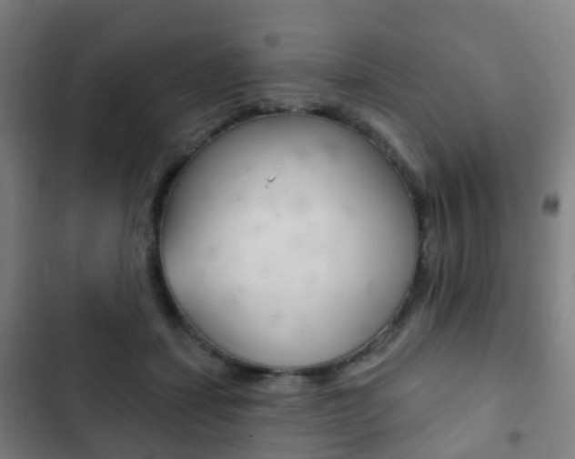 X0000103400459200809120928