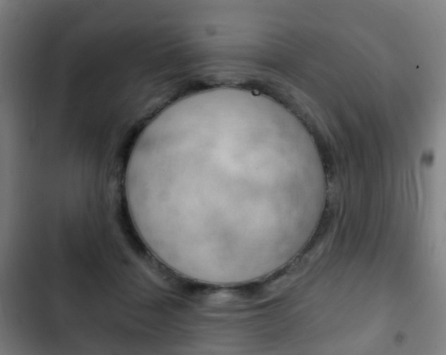 X0000103400460200809120928