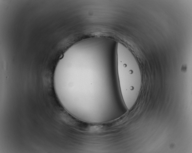 X0000103400461200809120928