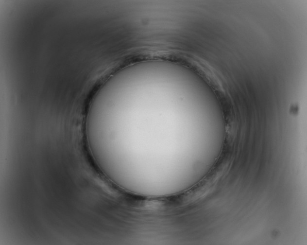 X0000103400462200809120928