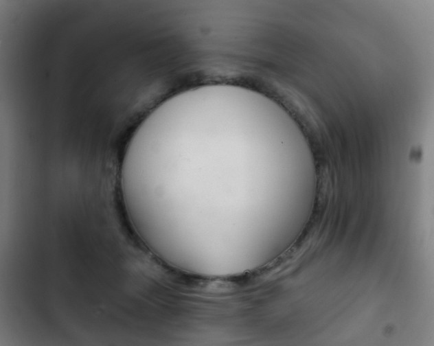X0000103400463200809120928