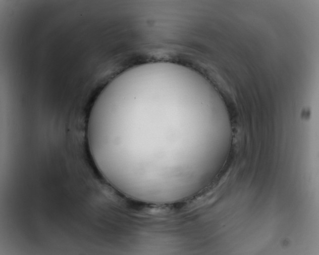 X0000103400466200809120928