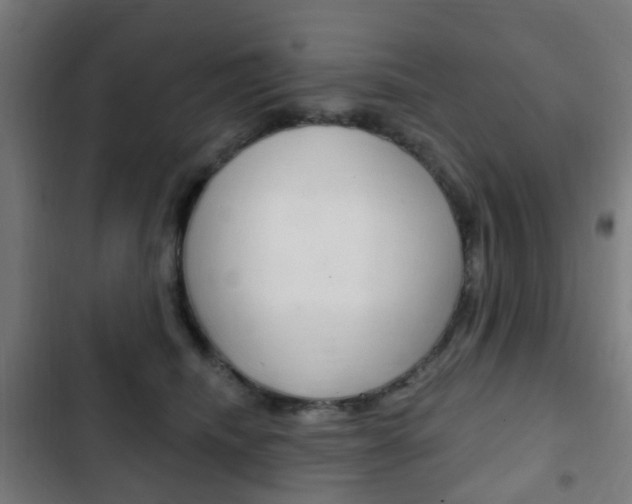 X0000103400468200809120928