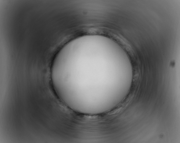 X0000103400469200809120928