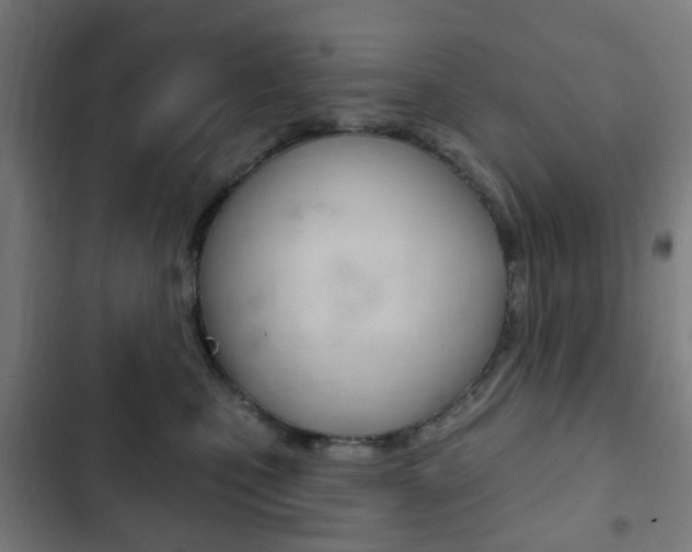 X0000103400471200809120928