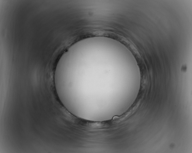 X0000103400473200809120928