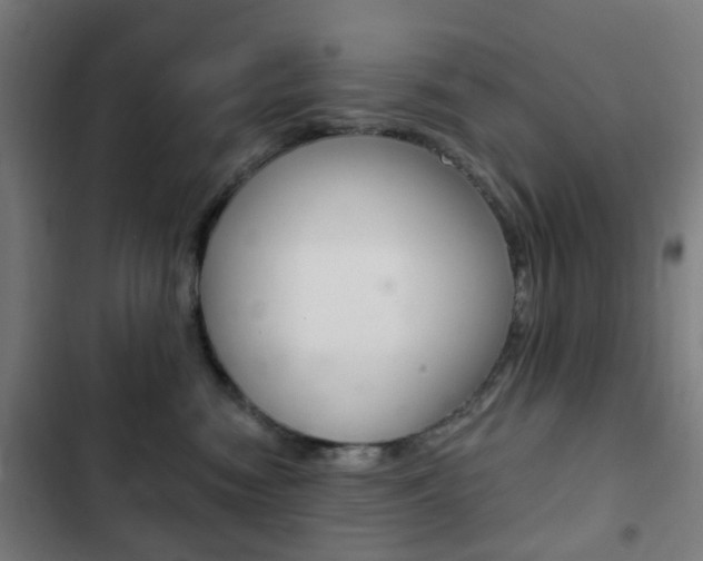 X0000103400474200809120928