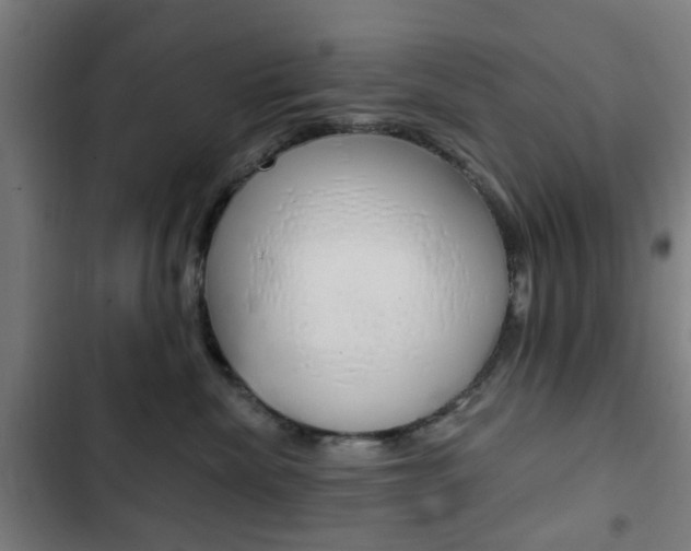 X0000103400476200809120928
