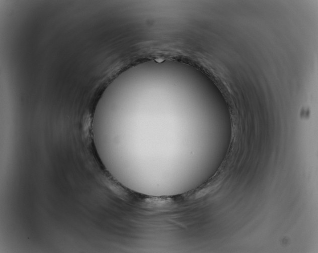 X0000103400480200809120928