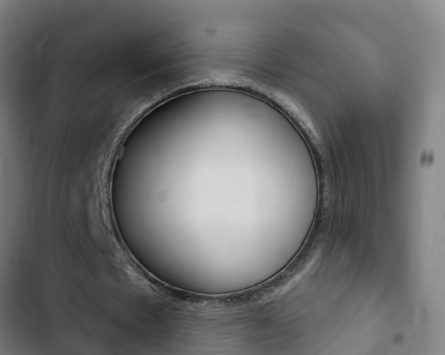 X0000103400481200809120927