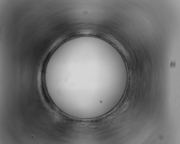 X0000103400482200809120927