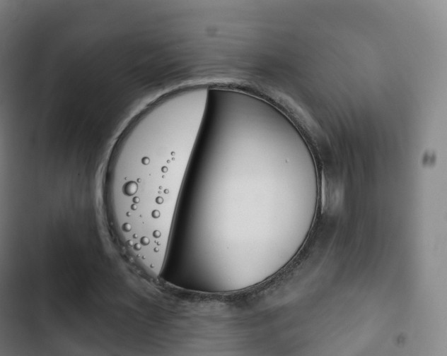 X0000103400483200809120927