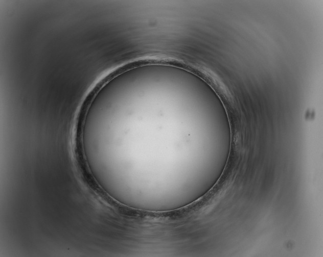 X0000103400484200809120927
