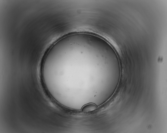 X0000103400485200809120927