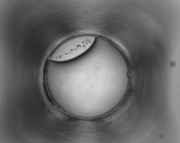 X0000103400486200809120927