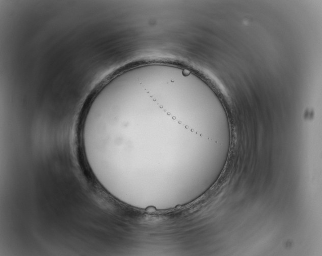 X0000103400487200809120927