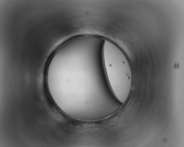 X0000103400488200809120927