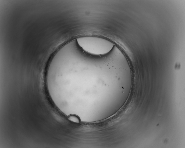X0000103400489200809120927