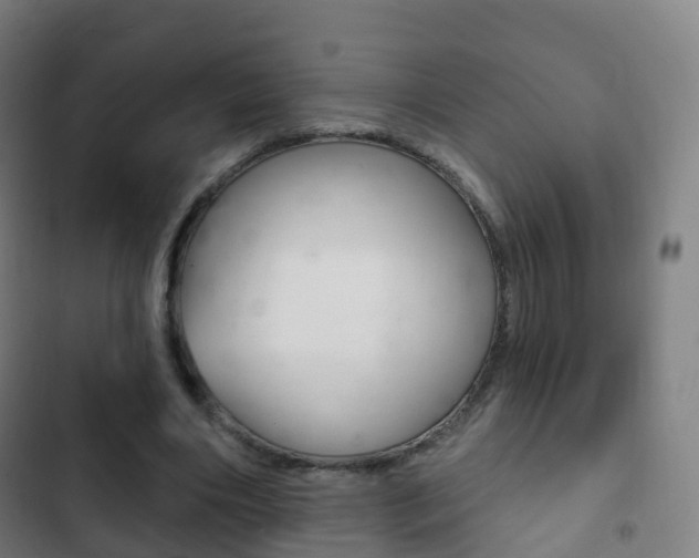 X0000103400490200809120927