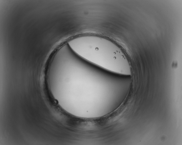X0000103400492200809120927